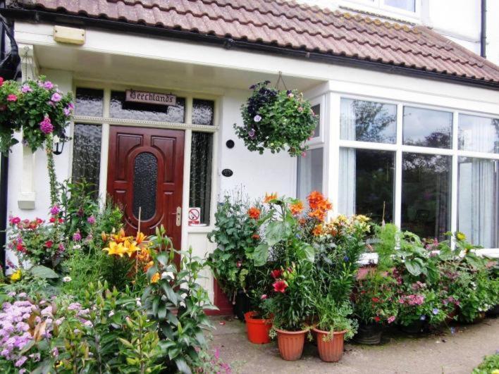 Beechlands B & B Sleights Eksteriør billede