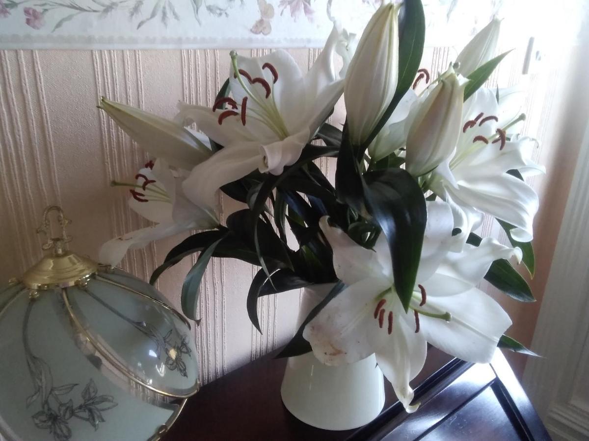 Beechlands B & B Sleights Eksteriør billede