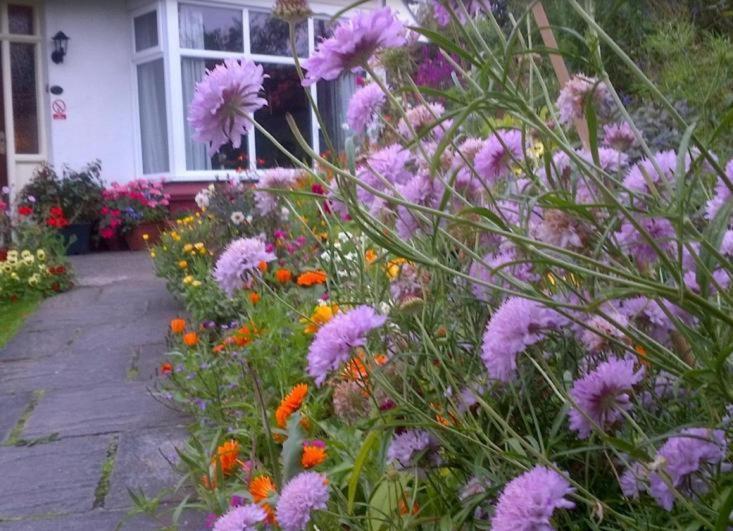 Beechlands B & B Sleights Eksteriør billede